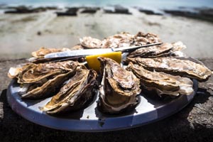 Vente directe d'huitres à Sarzeau