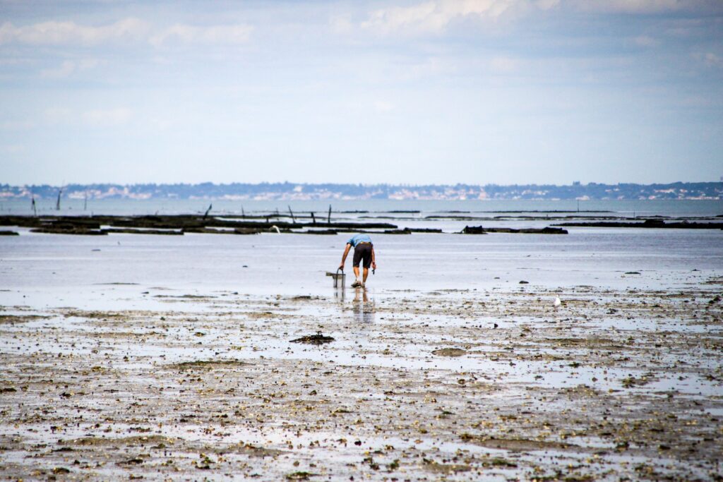 Les grandes marées de la Presqu'ile de Rhuys