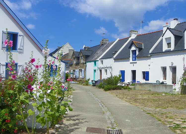 Randonnées fleuries sur les iles