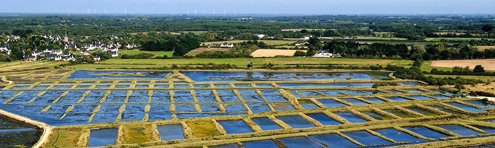 Les salines