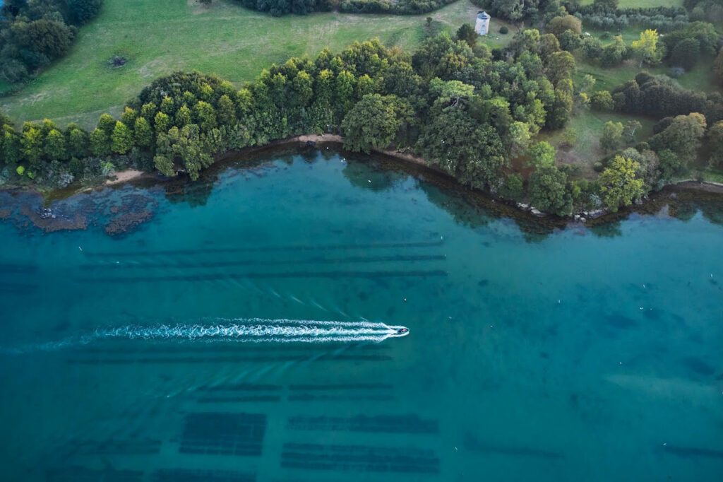 Découvrir le golfe du Morbihan