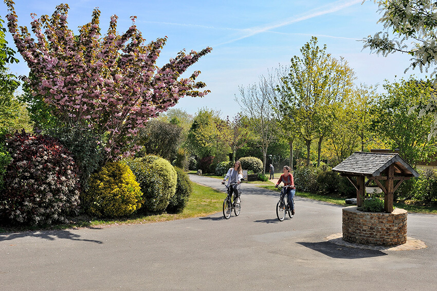 Location vélo camping