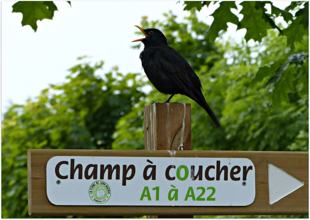 Protection de l'environnement